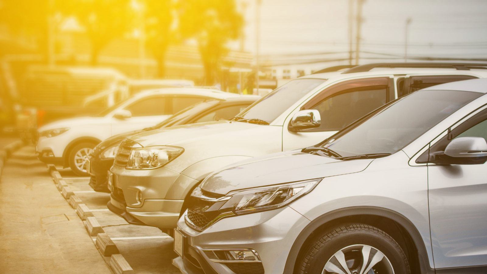 several cars lined up in a parking lot