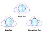 Diagrams showing oval head shapes