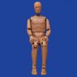 excursion crash test Crash test dummy 50th Percentile Adult Male Hybrid III