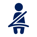 Occupant Protection icon